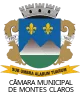 Camara Municipal de Montes Claros